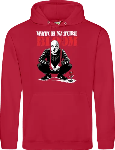 Squat Graffiti Spring