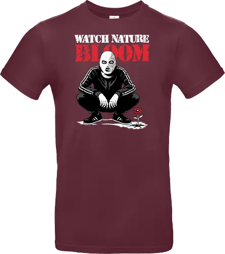 Squat Graffiti Spring