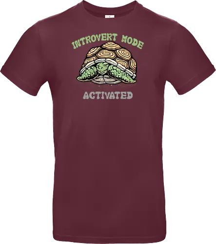 Introvert Mode Activated