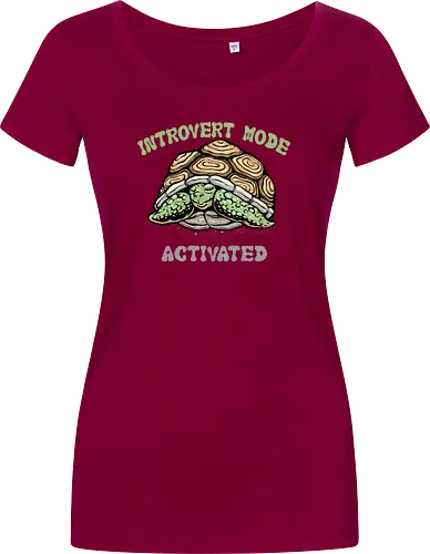 Introvert Mode Activated