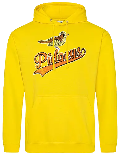 Pidgeys Team - Pocket Baseball Vintage