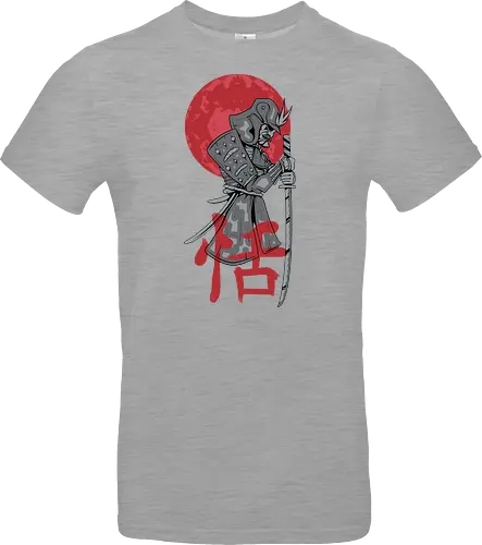 Japanese Ronin Samurai Warrior Red Sun