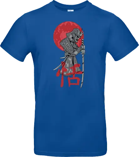 Japanese Ronin Samurai Warrior Red Sun
