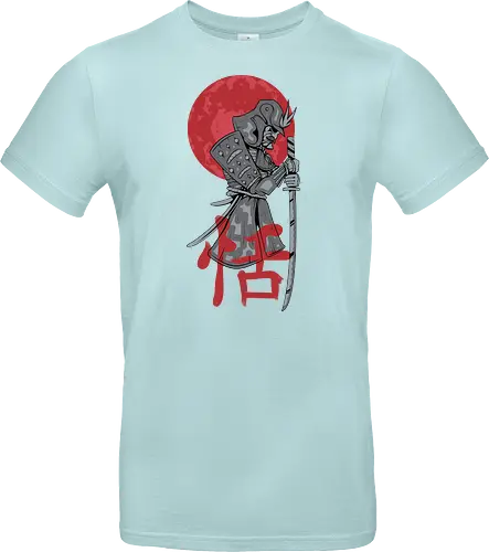 Japanese Ronin Samurai Warrior Red Sun