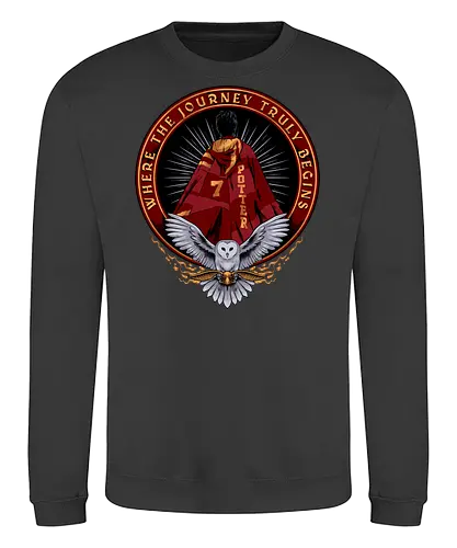 the lightning boy  - magic, wizard, magician, owl, bird, series - Sweatshirt
