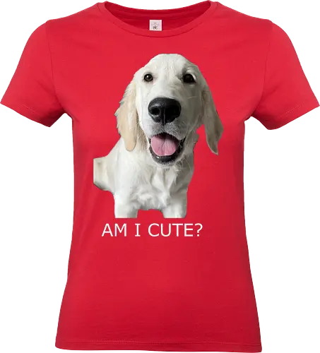 Witzig & Frech - Golden Retriever, Hundeliebe, Cute Dog, Haustier, Welpe, Dog Dad, Dog Mom, Tierfreund, Happy Dog - Standard T-Shirt (Frauen)