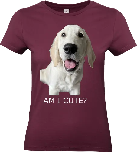 Witzig & Frech - Golden Retriever, Hundeliebe, Cute Dog, Haustier, Welpe, Dog Dad, Dog Mom, Tierfreund, Happy Dog - Standard T-Shirt (Frauen)
