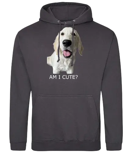 Witzig & Frech - Golden Retriever, Hundeliebe, Cute Dog, Haustier, Welpe, Dog Dad, Dog Mom, Tierfreund, Happy Dog - Standard Hoodie