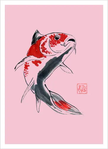 red koi