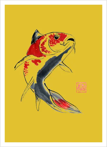 red koi