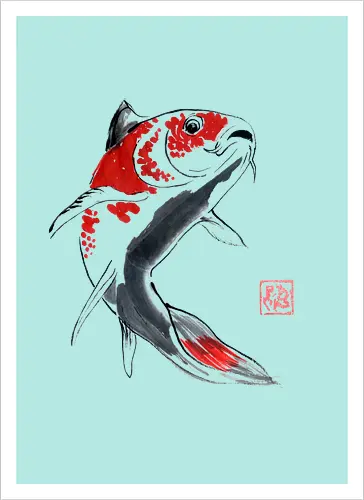 red koi