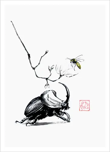 beetle bee