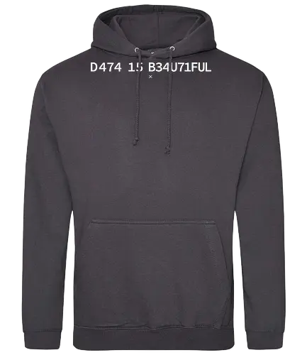 Data is Beautiful - Pi day, data, geek, nerd, minimalism, minimal, science, scientist, mathematics, maths, teacher, student, learning, patterns - Standard Hoodie