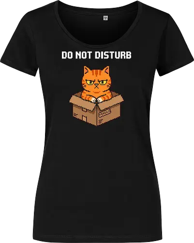 Grumpy Orange Cat in a Fragile Box - Retro Pixel Art