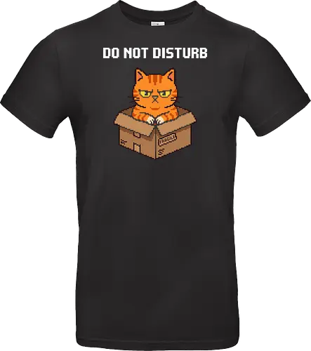 Grumpy Orange Cat in a Fragile Box - Retro Pixel Art
