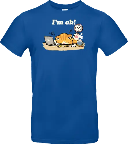 I'm Ok Cat