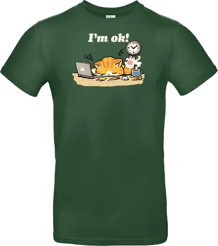 I'm Ok Cat