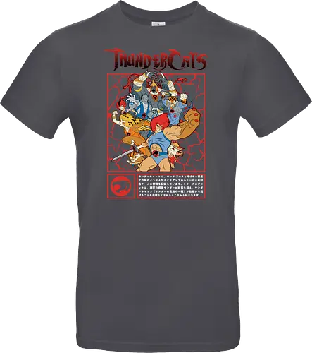 ThunderCats – Battle Frame