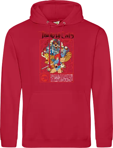 ThunderCats – Battle Frame