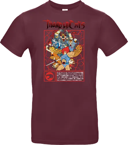 ThunderCats – Battle Frame