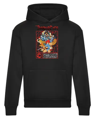 ThunderCats – Battle Frame