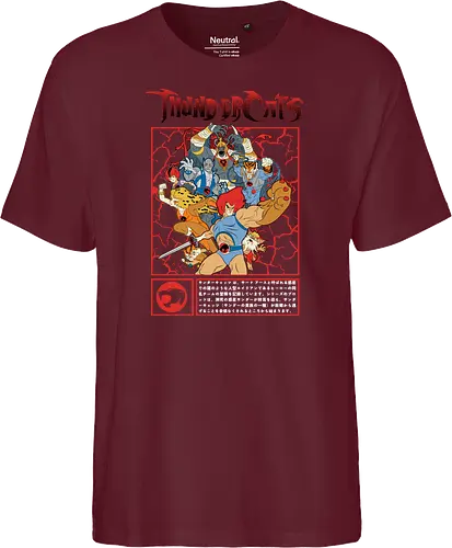 ThunderCats – Battle Frame