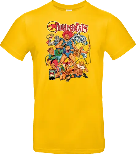 ThunderCats – Hero Squad