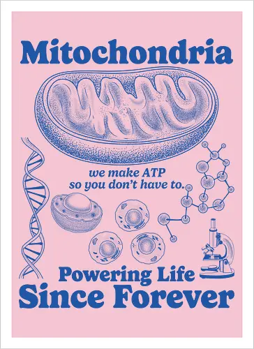 Mitochondria