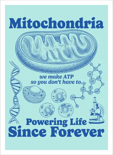 Mitochondria