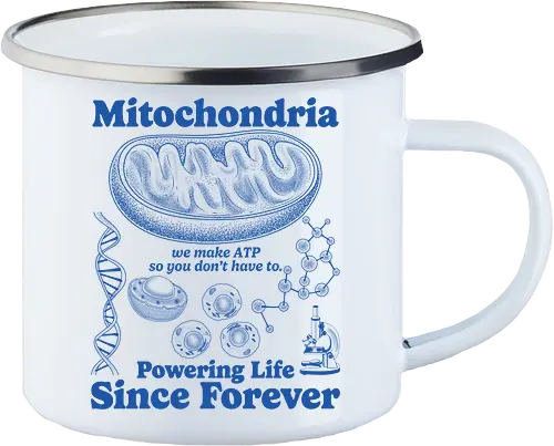 Mitochondria