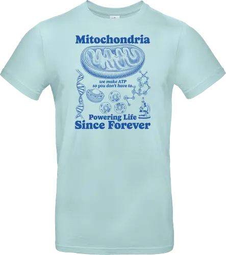 Mitochondria