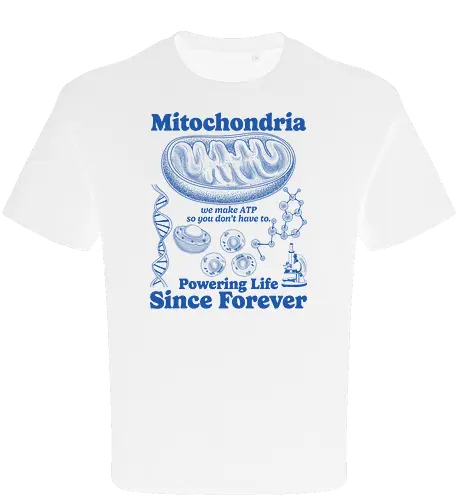 Mitochondria