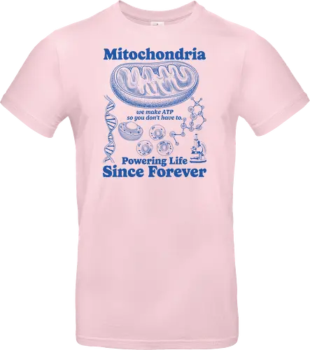 Mitochondria