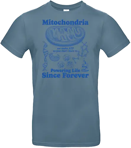 Mitochondria - mitochondria, atp, bacteria, biology, cell biology, dna, laboratory, microbiology, mitochondria disease, retro, science, stem, teacher, vintage, chemistry - Standard T-Shirt