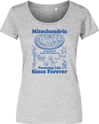 Mitochondria