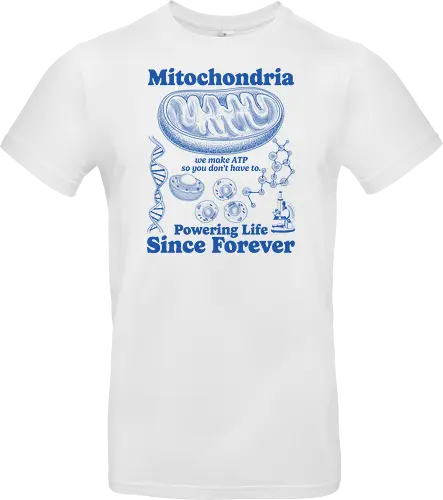 Mitochondria