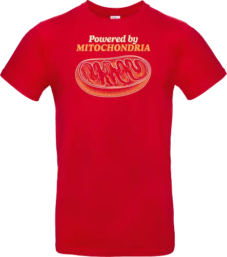 Powered by Mitochondria