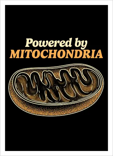 Powered by Mitochondria