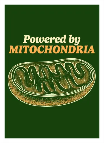 Powered by Mitochondria