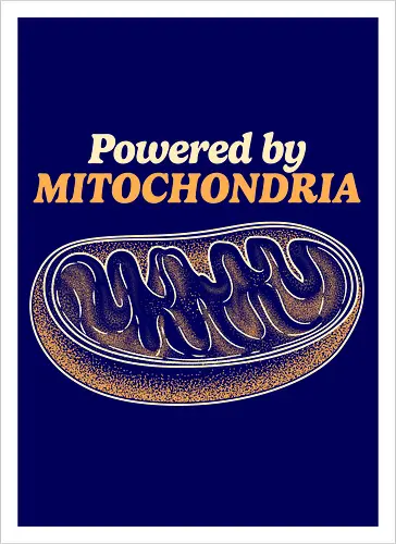Powered by Mitochondria