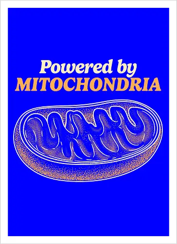 Powered by Mitochondria