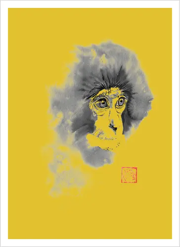 chimpanzee