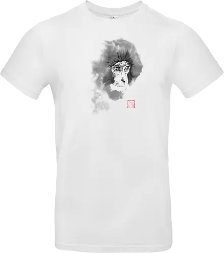 chimpanzee