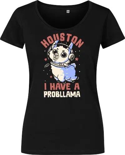 Houston I Have a Probllama