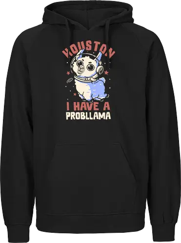Houston I Have a Probllama