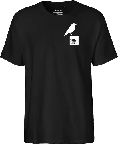 Hausrotschwanz weiß