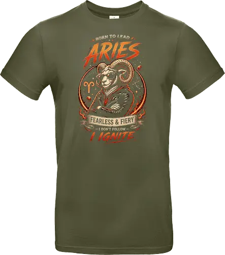 Aries Fearless and Fiery