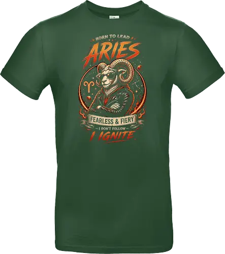 Aries Fearless and Fiery