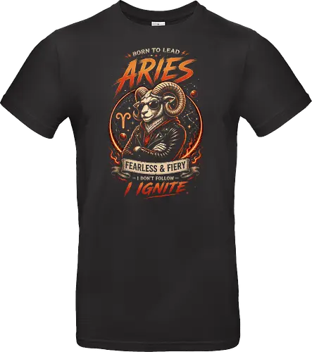 Aries Fearless and Fiery