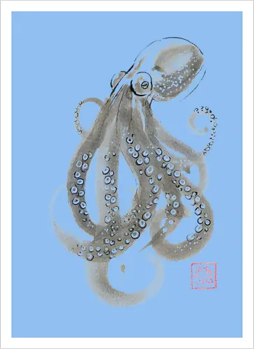 grey octopuss